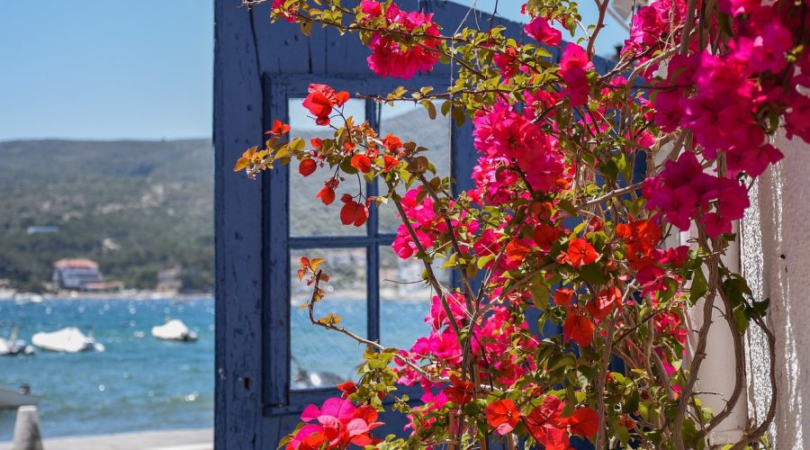 11purchasing a property in spain