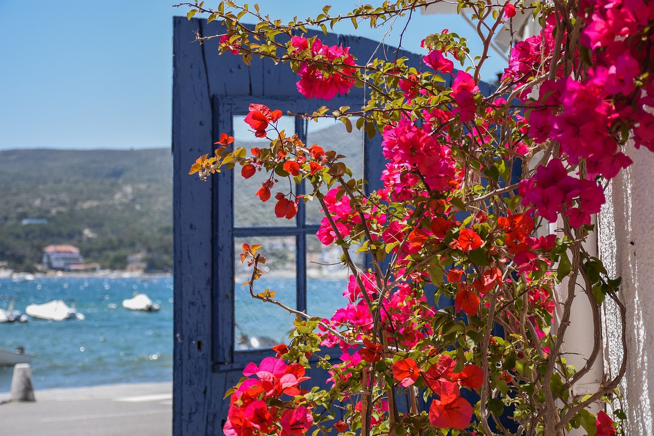 11purchasing a property in spain