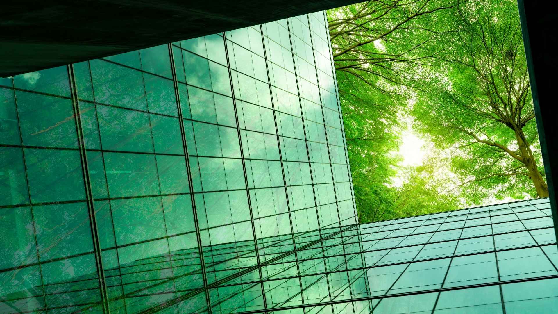 Nuevo reglamento europeo de envases y residuos de envases